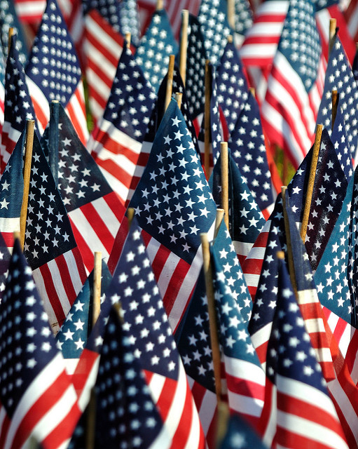 An array of miniature flags stuck into the ground