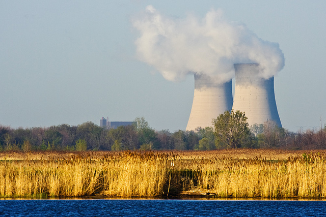 Nuclear Wetlands The Enrico Fermi Nuclear Power Plant Point Mouillee Rockwood, Michigan