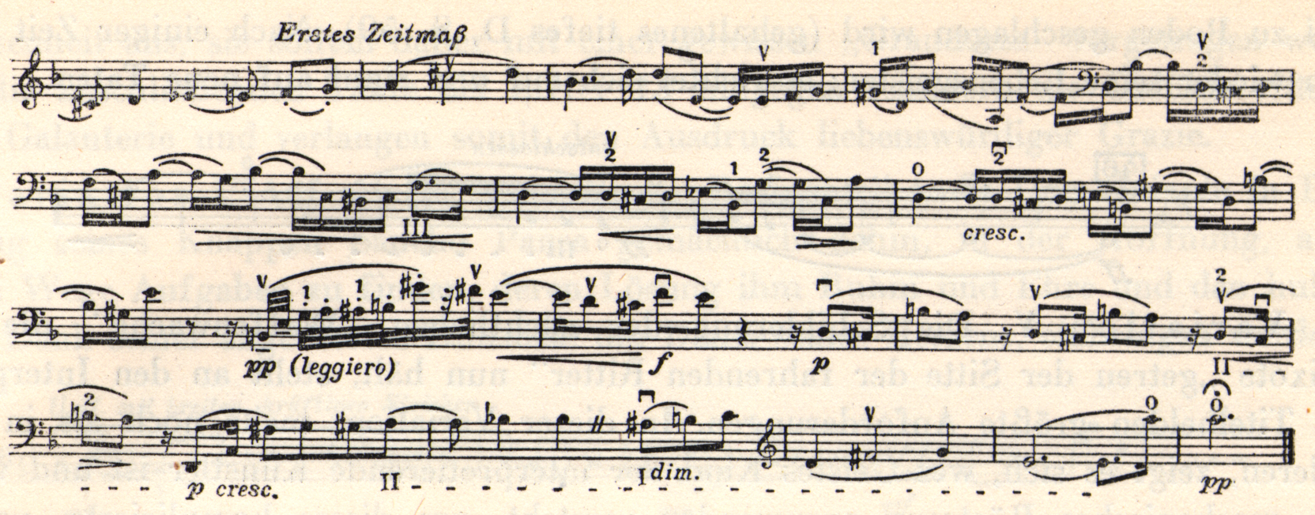 Musical notation. "Erstes Zeitmab" is written above.